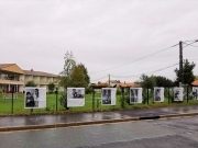 Image de l'article Gironde : une expo photo pour valoriser les métiers d'un Ehpad